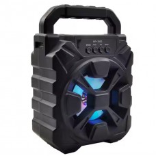 Portable Speaker HF-1900